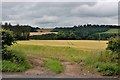 Cereal field at Lessuden Bank