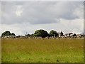 View of Field House farm