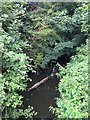 Ravensden Brook