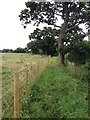 Alongside Ravensden Brook