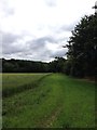 Alongside Ravensden Brook