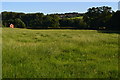 Field of grass near Swan Farm