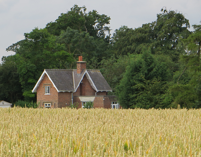 Wheat and Lodge, near Wood Hall