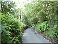 Descending Rawtonstall Bank