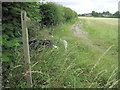 Path towards East Worldham