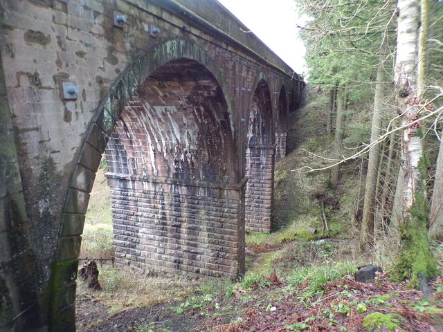 Carronhill Viaduct . Carronbridge