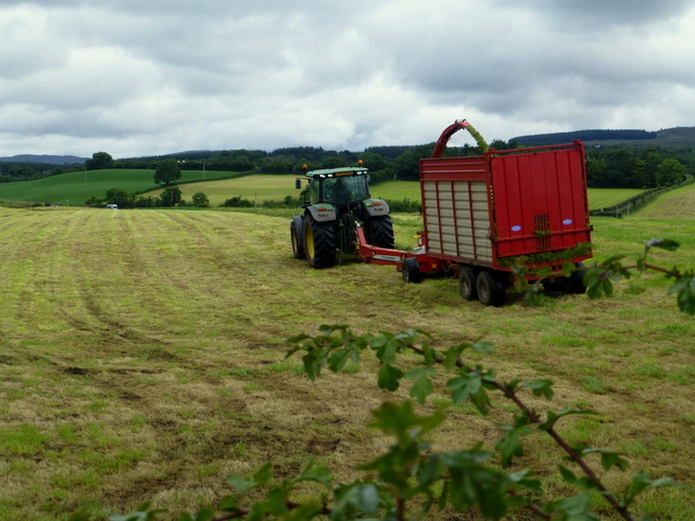 Harvesting grass, Mountjoy Forest East Division