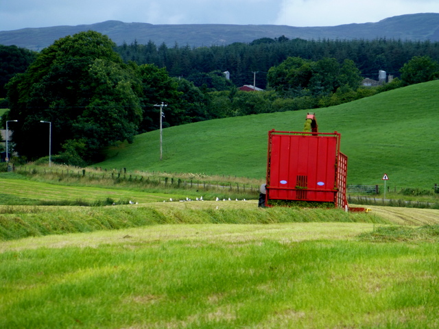 Cutting grass for silage, Mountjoy Forest East Division