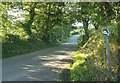 Lane past Tregonian