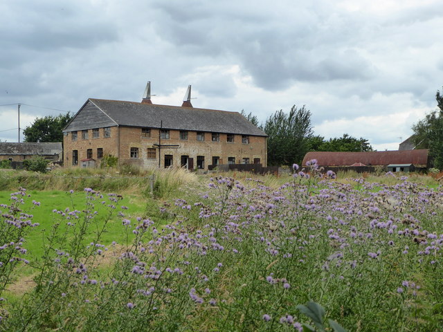 Footpath and thistles, Oad Street
