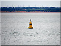 SZ5297 : The Solent, West Ryde Cardinal Marker Buoy near East Cowes by David Dixon