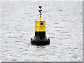 SZ5696 : SE Ryde Middle Cardinal Marker Buoy in The Solent by David Dixon
