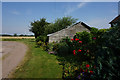 Celery Bank at Carr House Farm