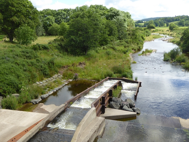 Fish ladder on the River Breamish