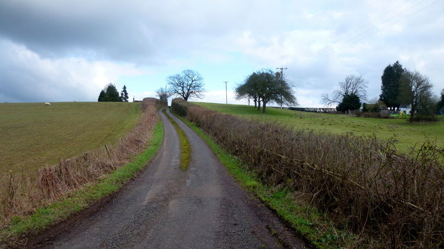 Lane towards Pen-y-rheol