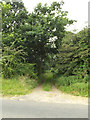 Fen Lane Footpath to the A1066 Thetford Road