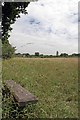 TL4604 : Seat in Thornwood Flood Meadow by Glyn Baker
