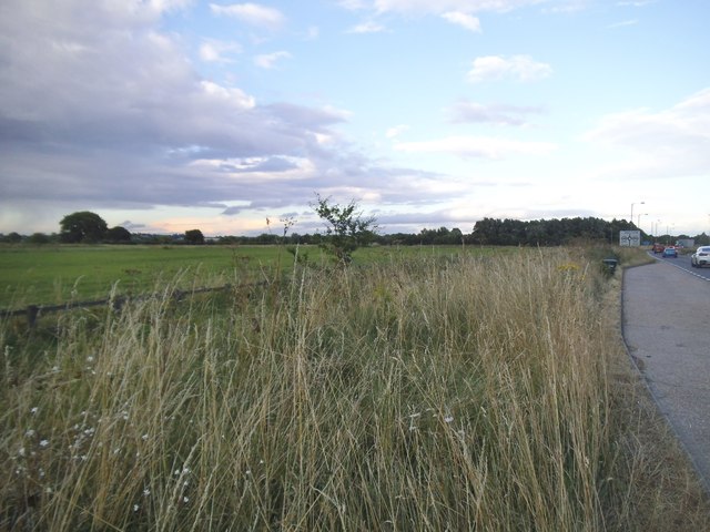 Field by the A507, Ampthill