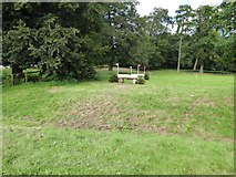SJ5451 : Cholmondeley Castle Horse Trials: cross-country obstacles by Jonathan Hutchins