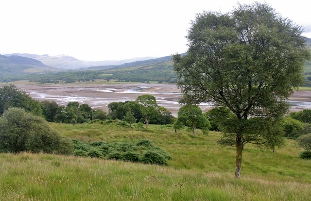 Rough pasture by Loch Riddon