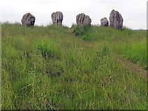 NT9343 : Duddo Stone Circle by Andrew Curtis