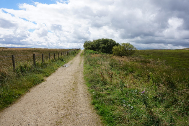 Kirklees Way on Slaithwaite Moor