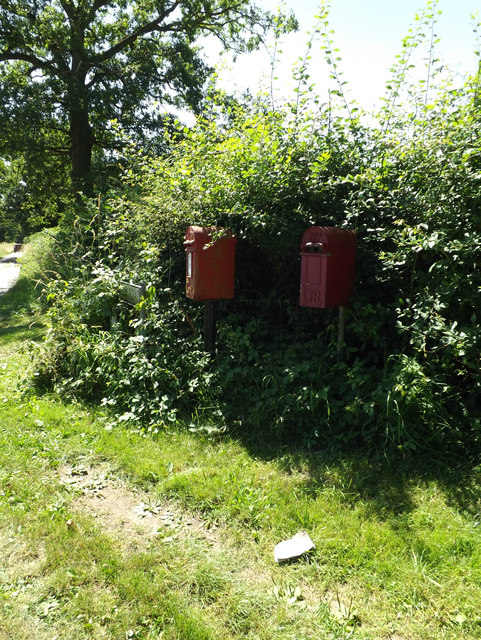 Low Common George V  Postbox & Birdbox