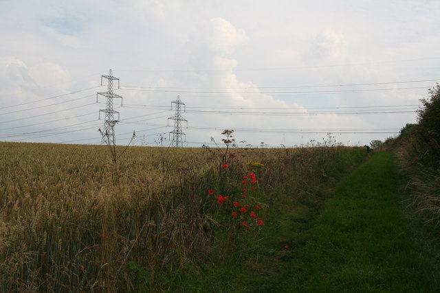 Poppies and pylons by the bridleway by Turton's Covert