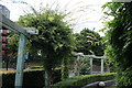 View of a curved pergola in the garden on the corner of Westferry Road and Tiller Road