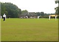 Cricket match, Datchworth Green