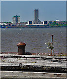 SJ3290 : View from Prince's Dock, Liverpool by Stephen Richards