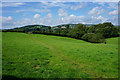 Path near Middleyard