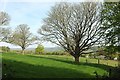 View near Flax Bourton