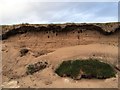 NY0844 : Sand dunes at Allonby by Richard Thomas