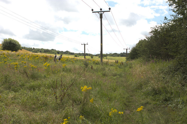 Power Lines in a Field