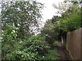 Footpath from the Uppingham Road to Main Street