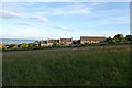 Houses in Craster