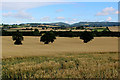 Countryside looking Northwards from Sunley Farm