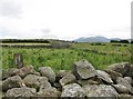 Rough pasture on the east side of Cashel Lane