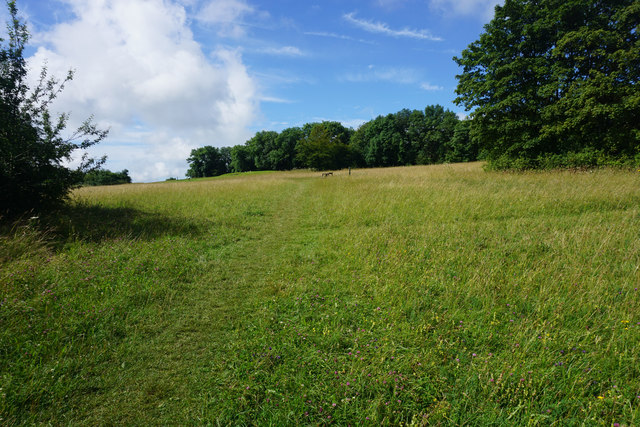 Open grassland on Frocester Hill © Bill Boaden :: Geograph Britain and ...