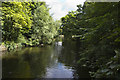 The lake in the Botanic Gardens at Churchtown