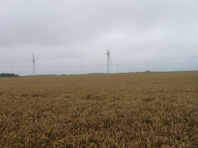 Wind Turbine and wheat field