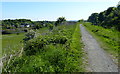 Towpath along the Union Canal in Falkirk