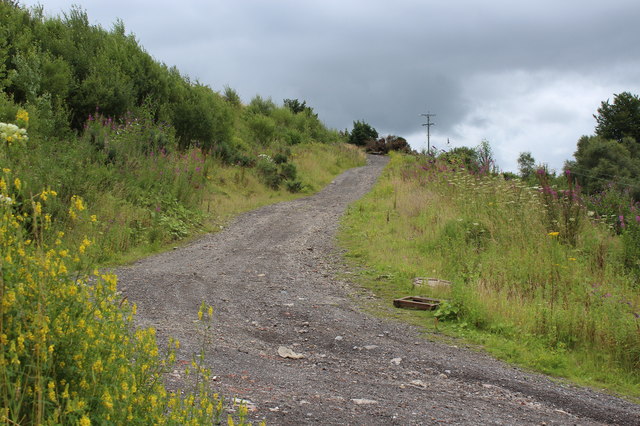 Track up side of valley towards Twyn Simon Farm