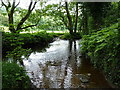 Ford through the Clough Brook