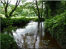 SJ9767 : Ford through the Clough Brook by Richard Law