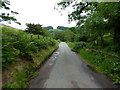 Alongside the Clough Brook