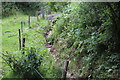 Fence & stream near Hafodrisclawdd-isaf