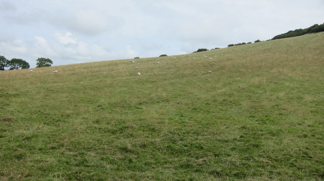 The Western slopes of Brent Knoll