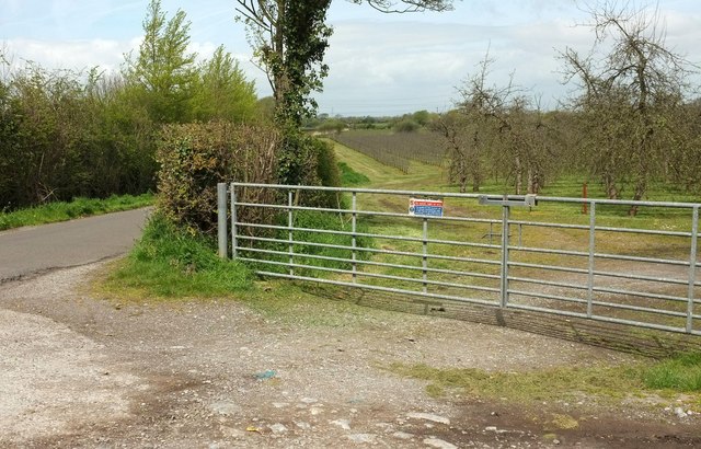 Entrance to orchard, Drove Way © Derek Harper :: Geograph Britain and ...